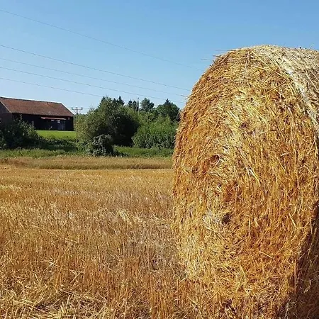 Folwark & Restauracja 3*