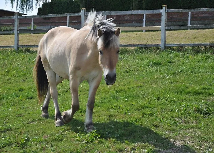 Folwark & Restauracja Tumiany