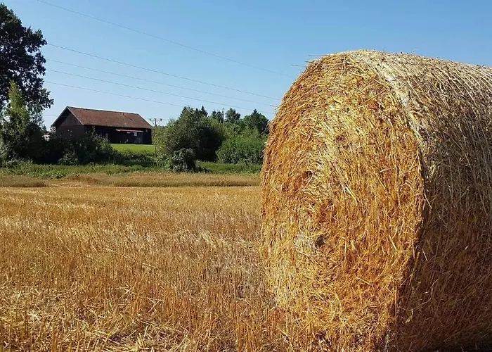 Folwark & Restauracja 3*